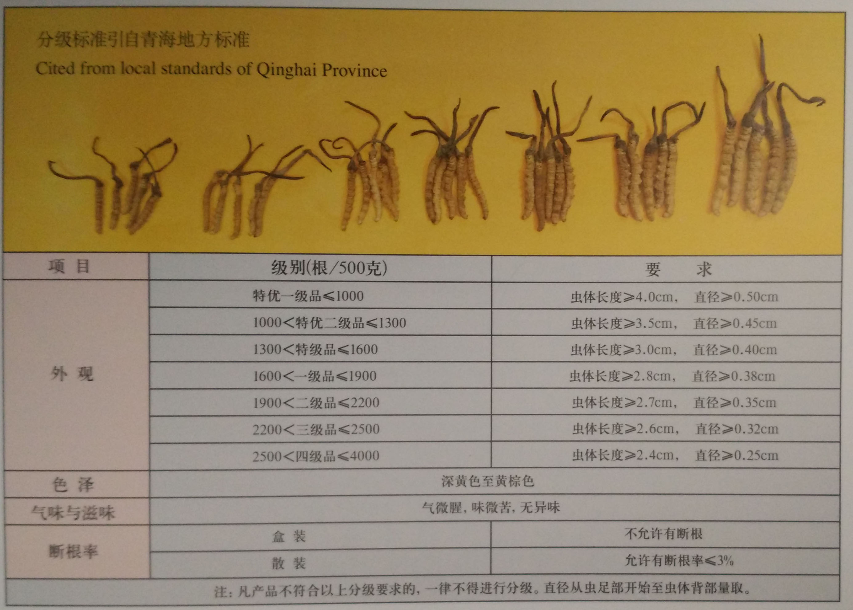 冬虫夏草分级表